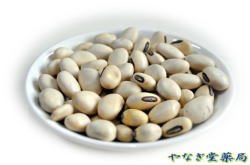 刀豆（ナタマメ）ー白刀豆